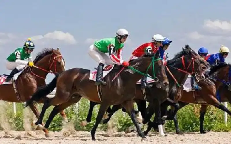 indian horse race