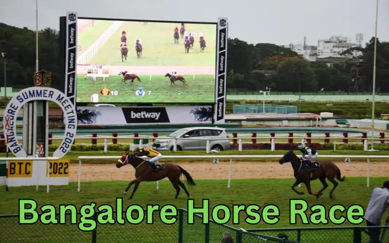 bangalore horse race